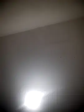 Show de EuEnzo1 na webcam