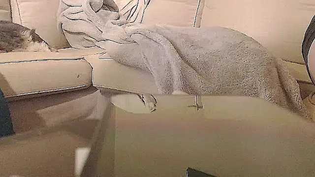 Show Webcam de studlyhardwoodd