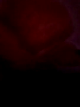 عرض كام Sxxmann