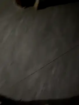 guozuoのウェブカメラショー