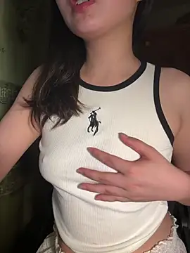 A_Lingn Webbikameraesitys