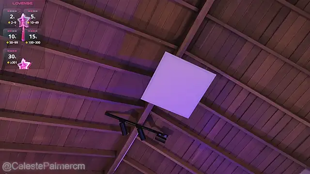 Chat XXX en directo de CelestePalmer_