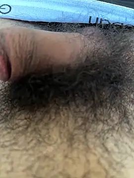 عرض كام c2c3finm