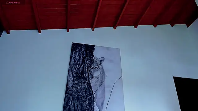 Czat XXX na żywo – Santos_ramirez1