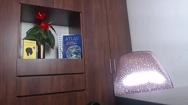 Sol_vannesa Adlı Modelin Canlı XXX Sohbeti