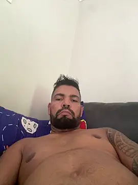 Show de webcam de adgato