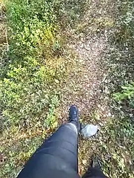 Amatsontrans 现场XXX聊天