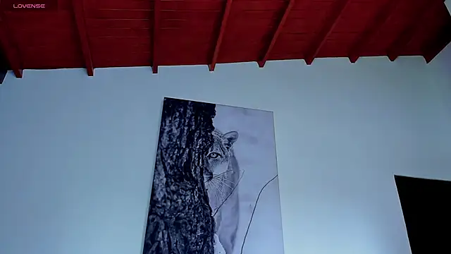 Chat +18 de Santos_ramirez1 ao vivo