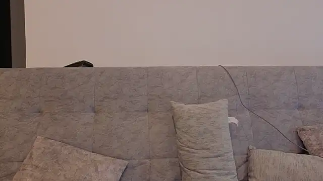 emilyrouxe's Live XXX Chat