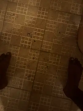 Show Webcam de Matrix_Maestro