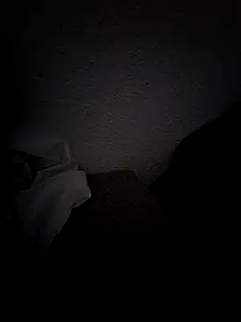 Activ1top Show in webcam