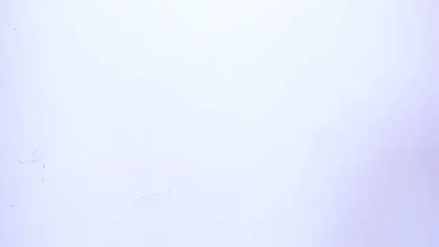 VIOLET_19XXX's Live XXX Chat