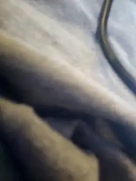 yourMasterisBored Webcamshow