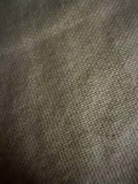 Yni77 Pertunjukan Webcam