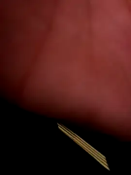 TattyFoxglove webkamerás műsora