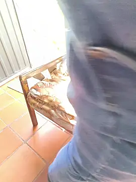 Blanco2023 Webcam show