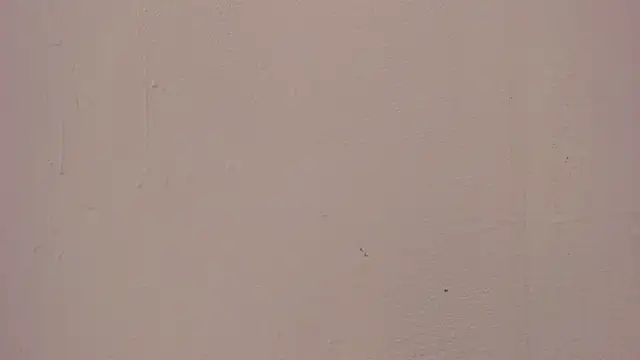 Alexa_fox669's Live XXX Chat