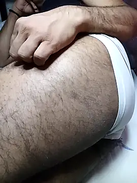 Show de SADDLECOCK na webcam