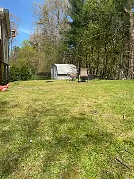 Chat XXX en directo de Milfshortcakes