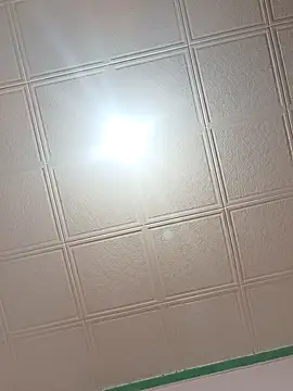 HAIRY_PUSSY_BIG 웹캠 쇼