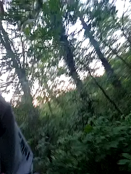 twitshe  élő XXX-chatje