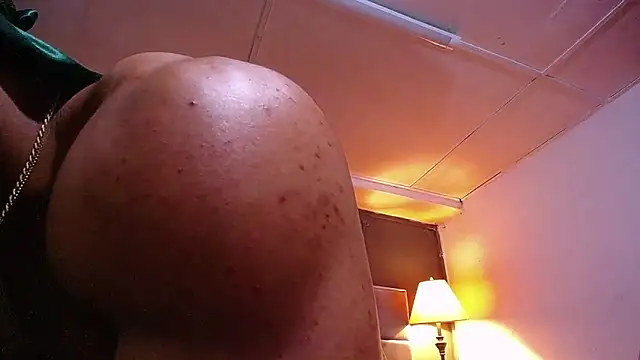 Show webcam de teddyfit19cm