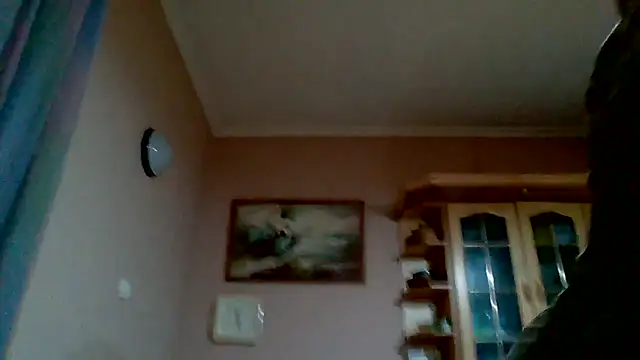 Webkamerová show machomale3