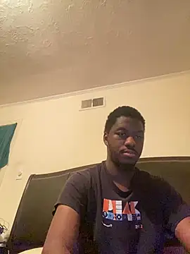 ThickDic28 Show in webcam