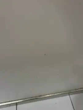 Show modela Blake0227 na web-kameri