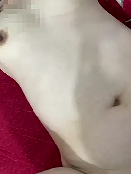 Show Webcam de vietAnhzip