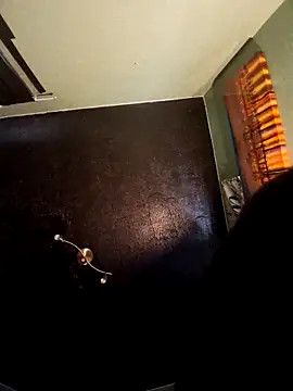 Painstickwes Pertunjukan Webcam