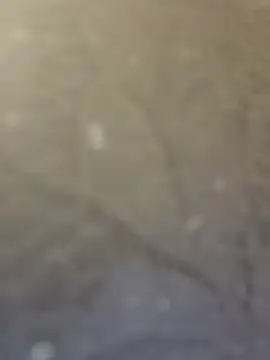 Ta_sonia_07 网络视讯表演