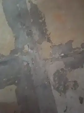 Czat XXX na żywo – Punebigcock49