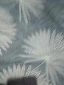 IndianDaddy0's Live XXX Chat