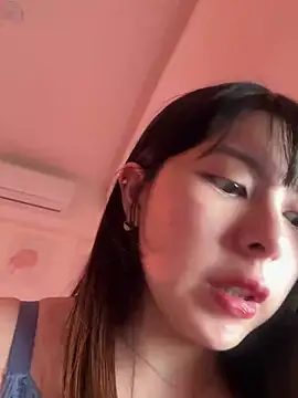 DandanBurgerking 웹캠 쇼