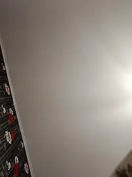 Levarboy élő XXX-chatje