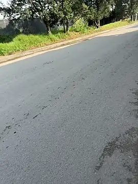 TavoHot_ 라이브 XXX 채팅