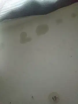 DevinToore's Webcam Show