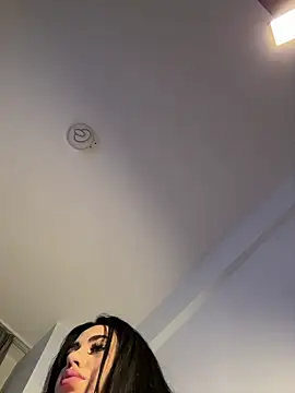 Andrestarr live XXX chat