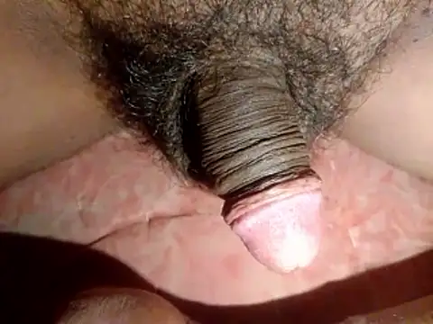 asu1245gy webkamerás műsora