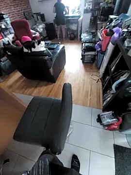 Show webcam de QcMisterv13