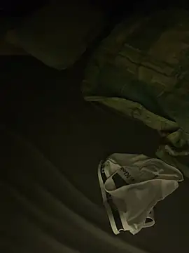 PTacb-12345のウェブカメラショー