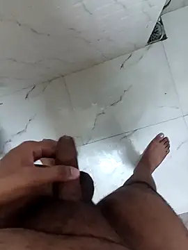 Show webcam de Indbd