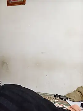 Hiptonos Show Webcam