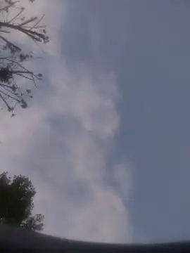 Chat XXX ao vivo de Biknight