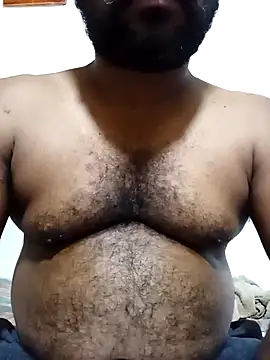 Hiptonos 网络视讯表演