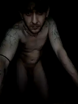 Chaooss1 – Kamerová šou