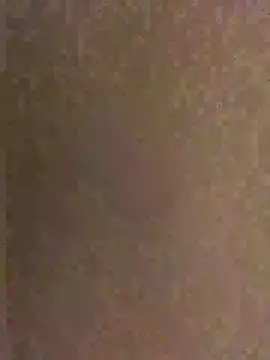 pegaso369 webkamerás műsora