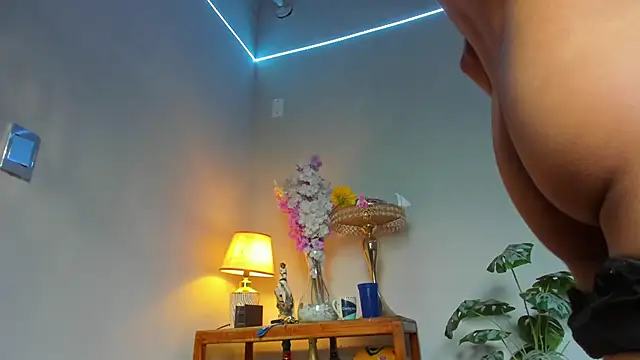 lucian_davii's Webcam Show