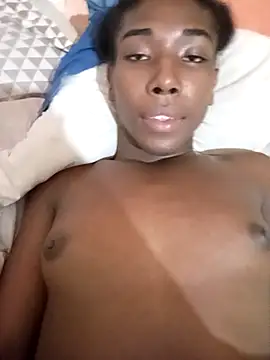 liss327n Webbikameraesitys